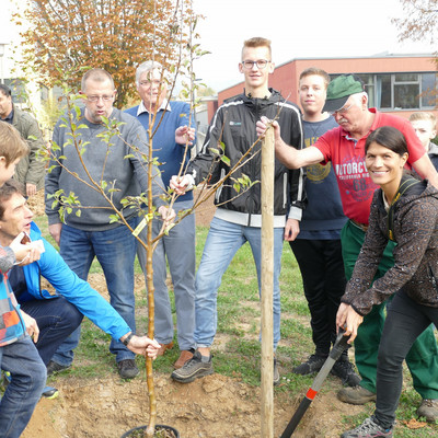 Baumpflanzaktion im neuen Schulgarten
